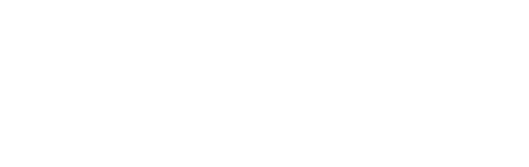 Lion HEart Ventures_Trans